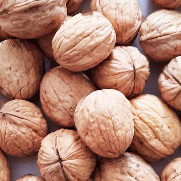 Nueces con cáscara